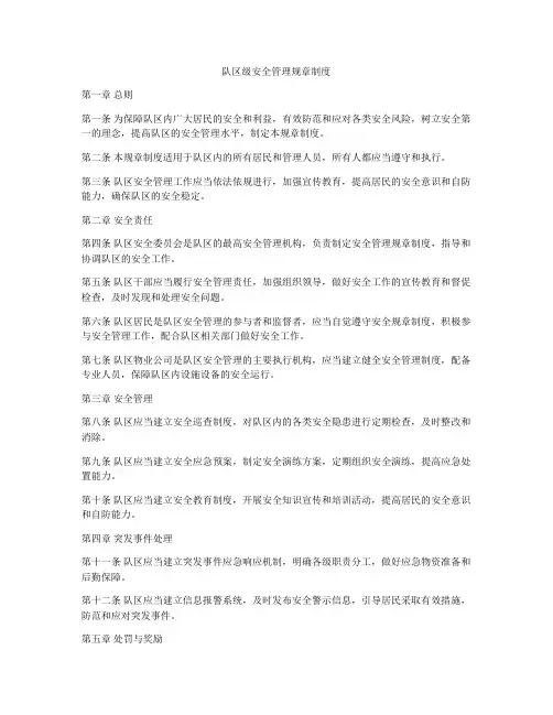 队区级安全管理规章制度