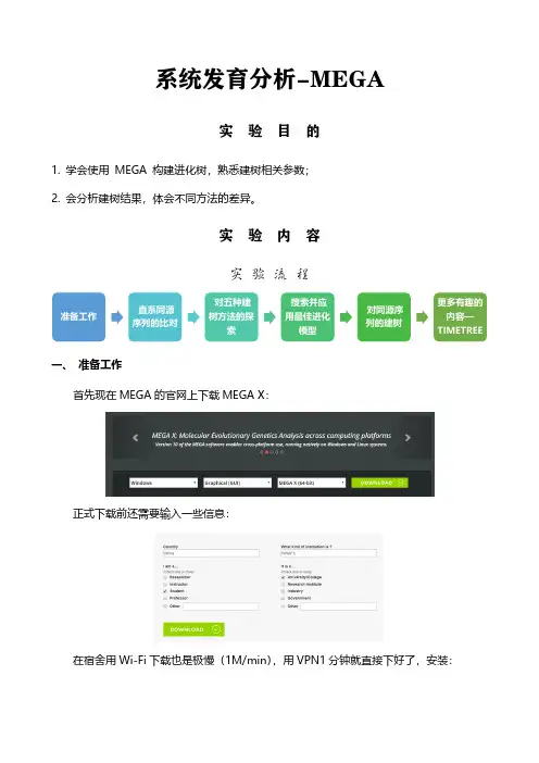 系统发育分析-MEGA