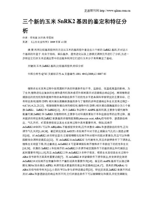 三个新的玉米SnRK2基因的鉴定和特征分析