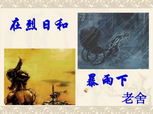在烈日和暴雨下公开课精品课件