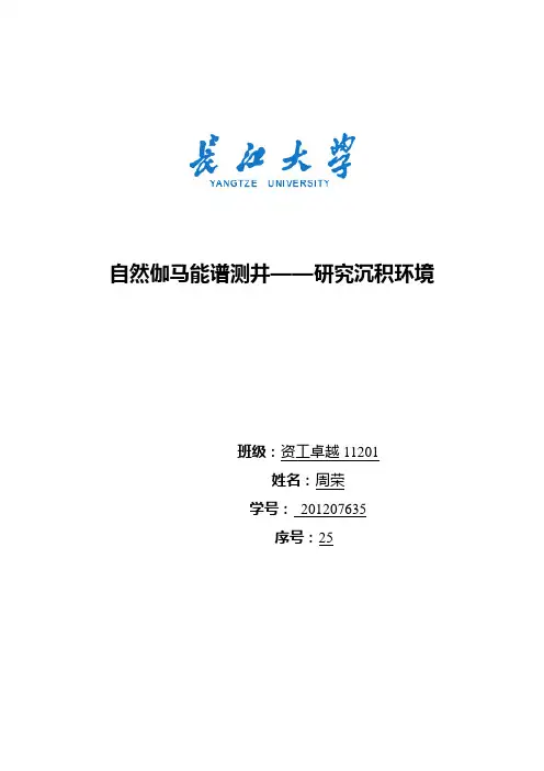 利用自然伽马能谱测井研究沉积环境。周荣