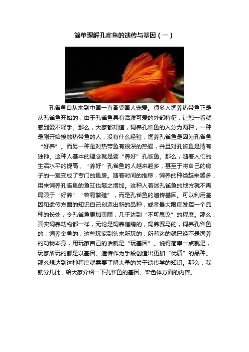 简单理解孔雀鱼的遗传与基因（一）