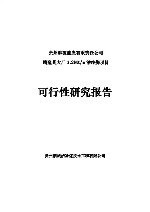 大厂选煤厂2mta洁净煤项目可行性研究报告终版