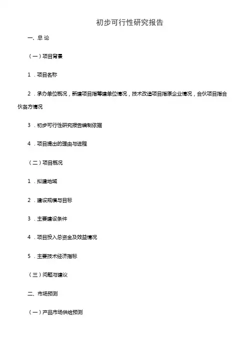 初步可行性研究报告