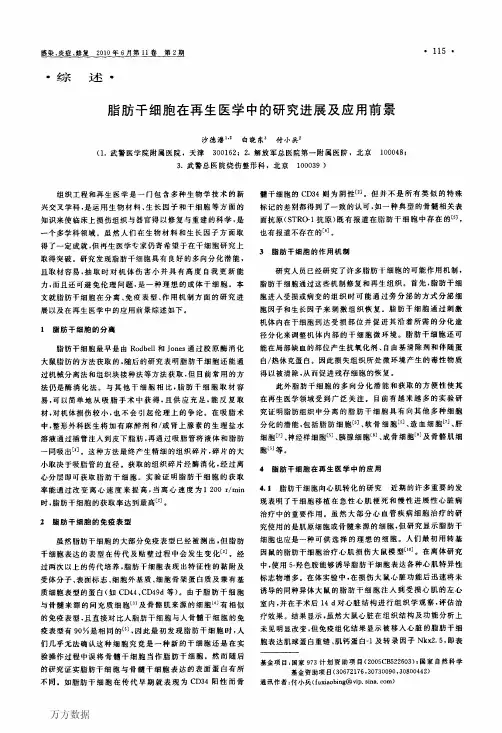 脂肪干细胞在再生医学中的研究进展及应用前景