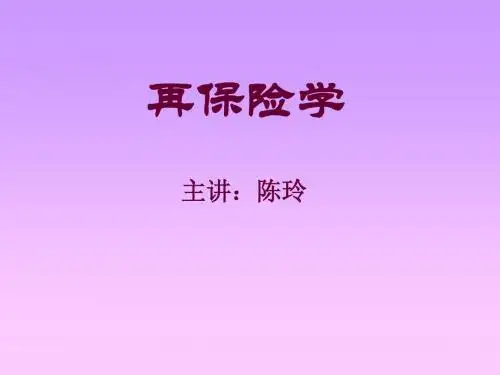 再保险电子教案