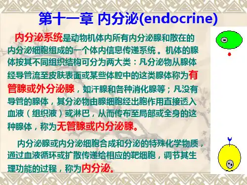 家畜生理学教学课件内分泌