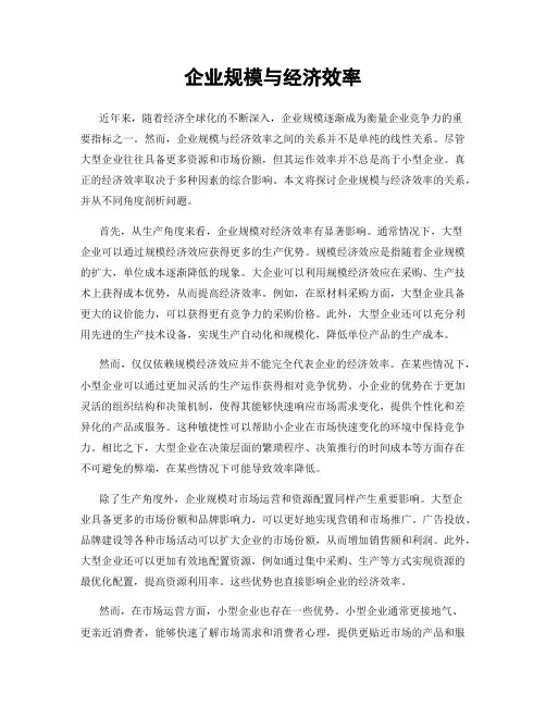 企业规模与经济效率