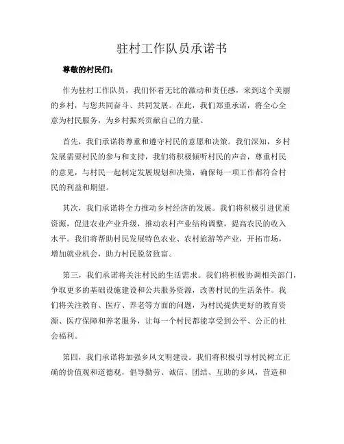 驻村工作队员承诺书