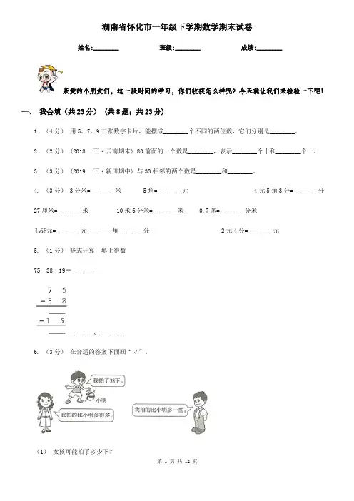 湖南省怀化市一年级 下学期数学期末试卷