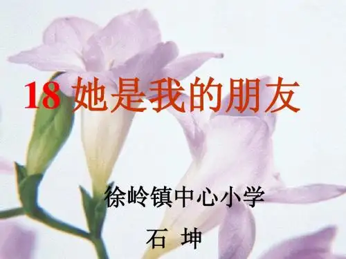 她是我的朋友课件