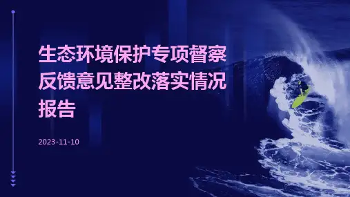生态环境保护专项督察反馈意见整改落实情况报告