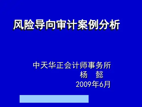 风险导向审计案例研究分析(ppt 38页)