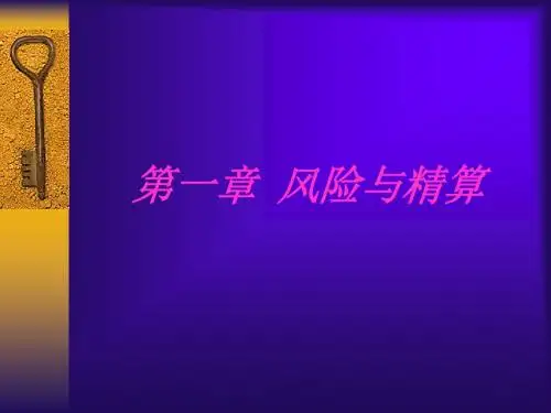 《风险理论课程》PPT课件