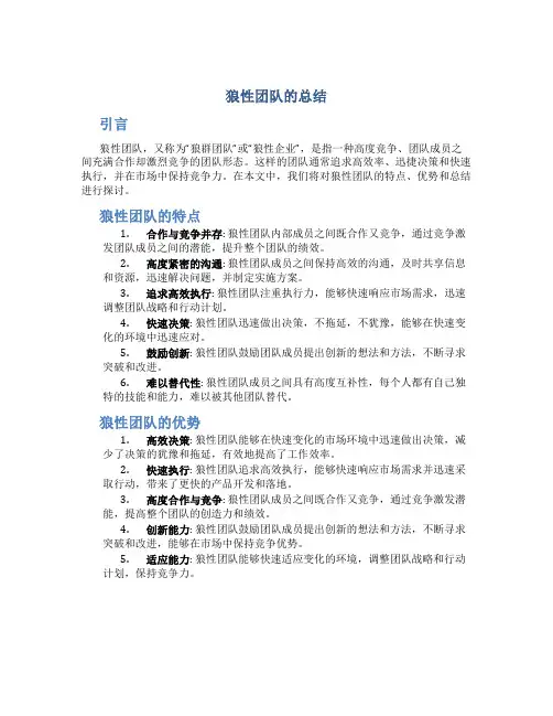 狼性团队的总结
