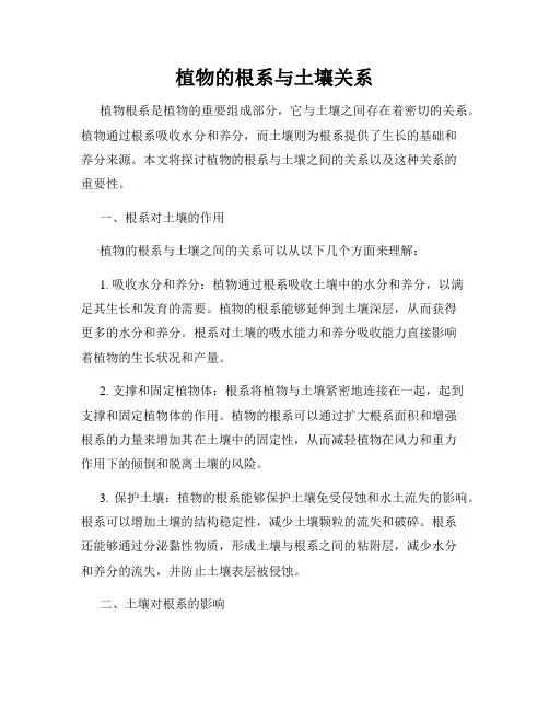 植物的根系与土壤关系
