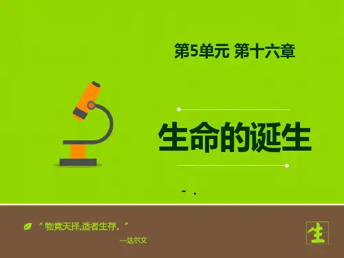 《生命的诞生》PPT教学课件