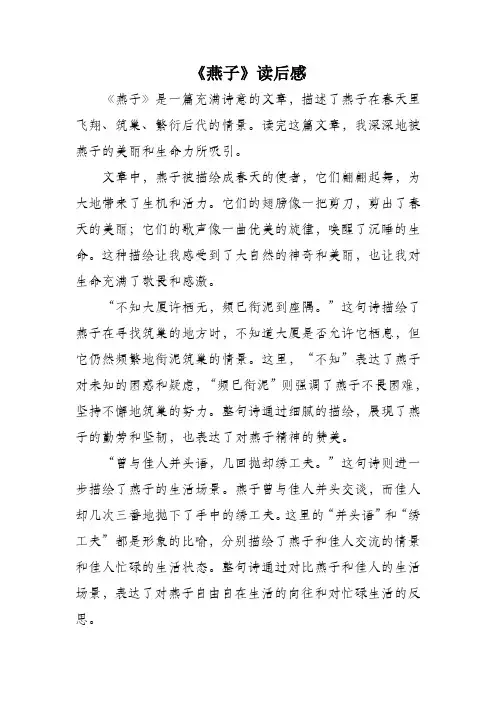 燕子读后感