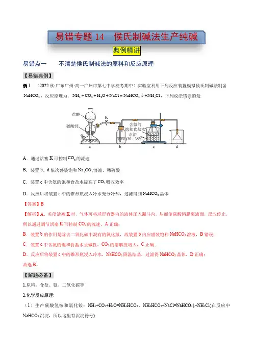 易错专题14 侯氏制碱法生产纯碱-2024-2025学年高一化学易错题典例精讲与习题精练(人教版20