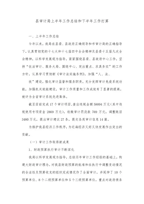 县审计局上半年工作总结和下半年工作打算.doc