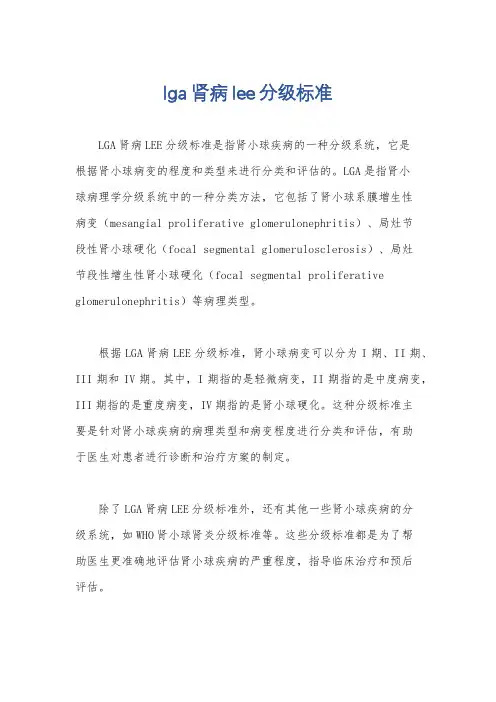 lga肾病lee分级标准