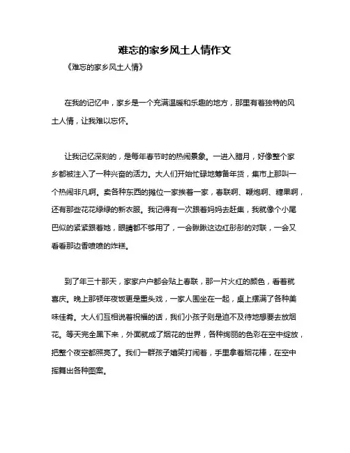 难忘的家乡风土人情作文