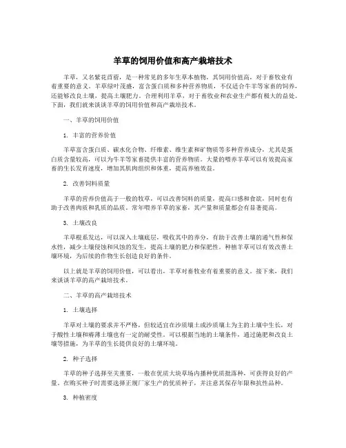羊草的饲用价值和高产栽培技术