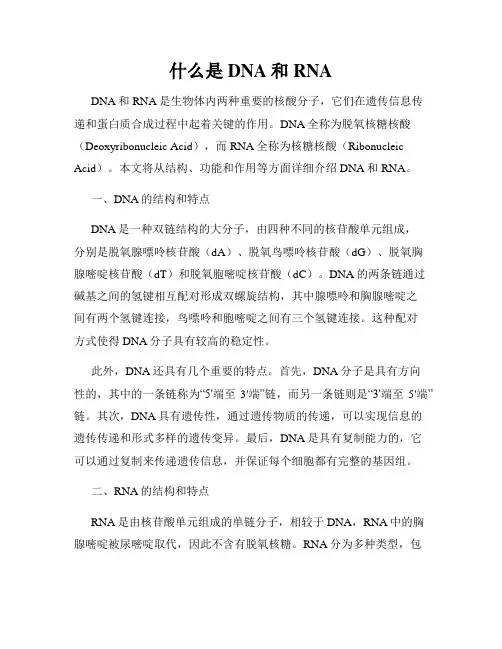 什么是DNA和RNA
