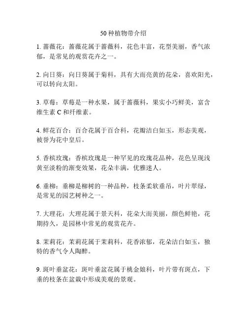 50种植物带介绍