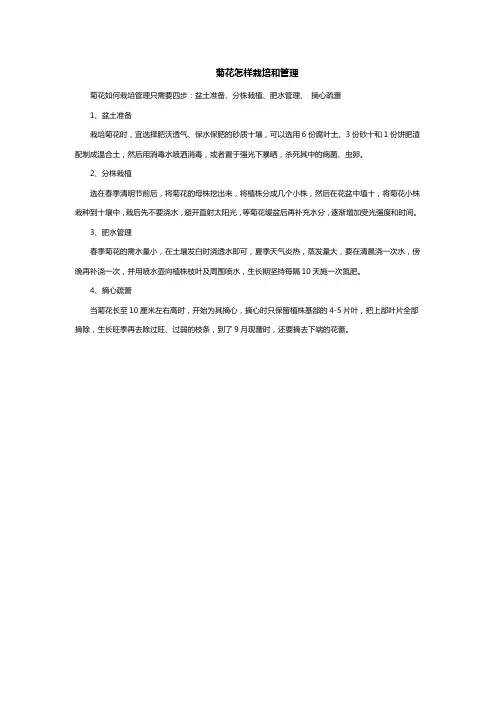 菊花怎样栽培和管理
