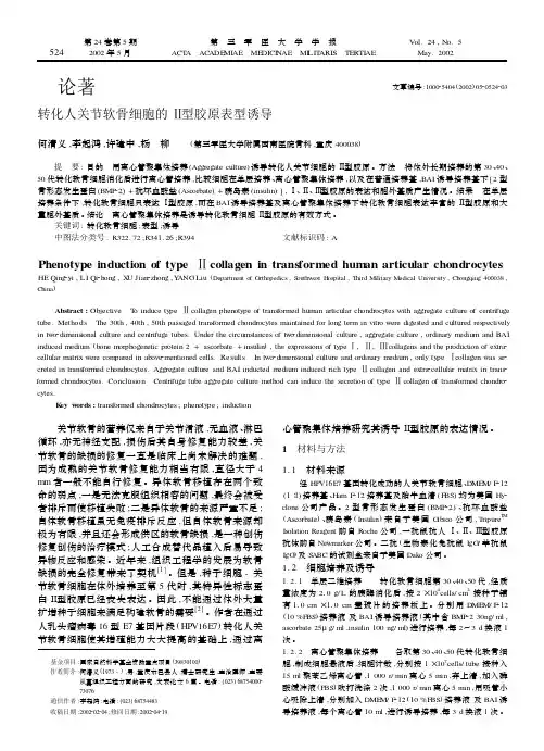 转化人关节软骨细胞的Ⅱ型胶原表型诱导