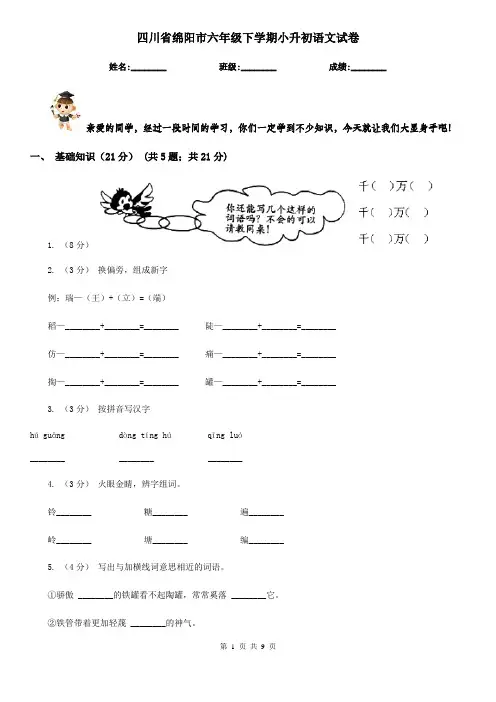 四川省绵阳市六年级下学期小升初语文试卷