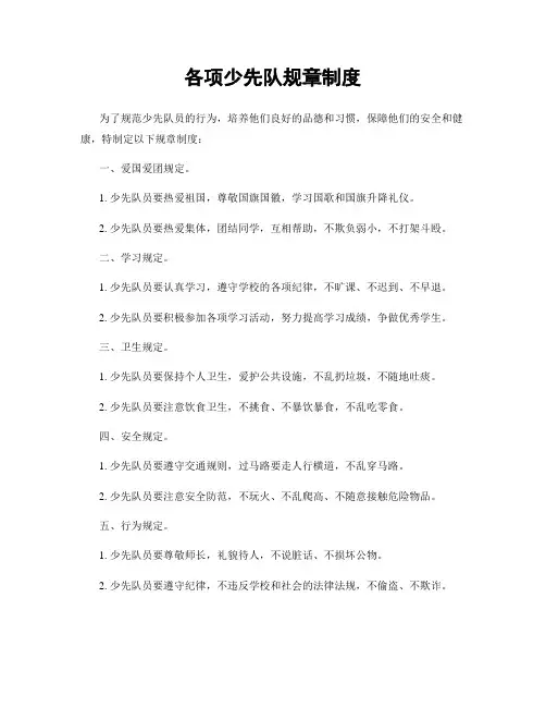 各项少先队规章制度