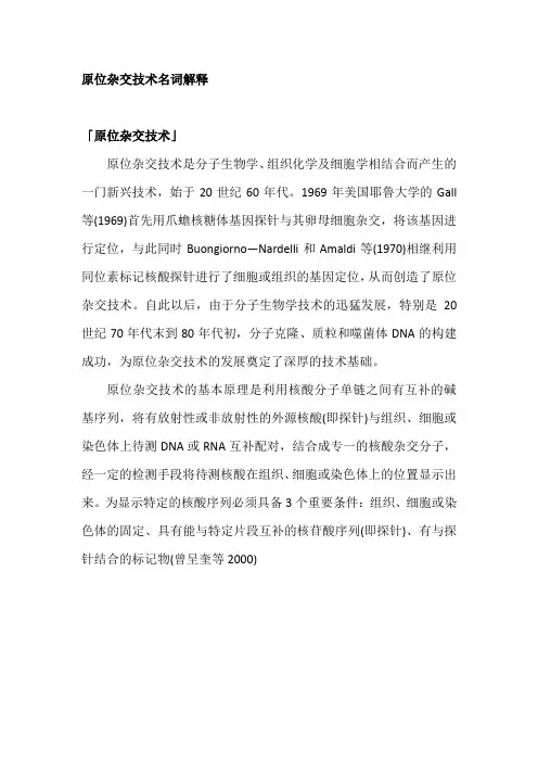 原位杂交技术名词解释