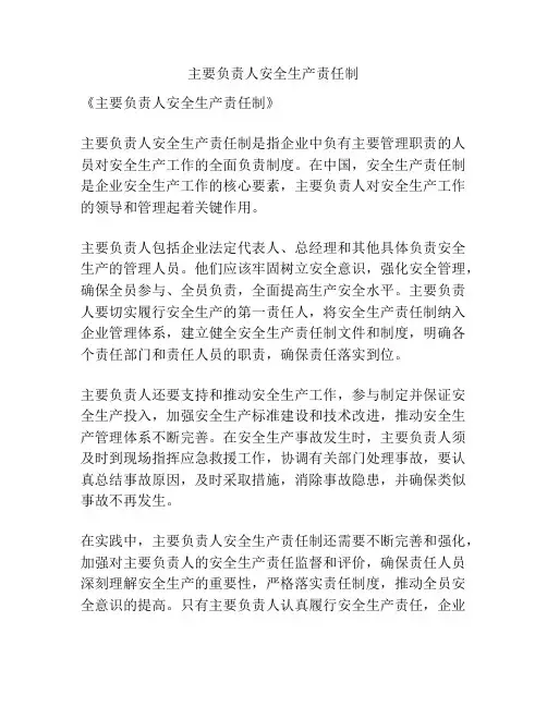 主要负责人安全生产责任制