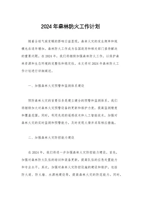2024年森林防火工作计划