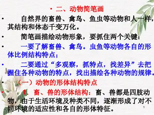 动物简笔画大全学习课件PPT
