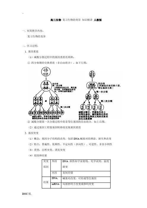 高三生物 复习生物的变异 知识精讲 人教版