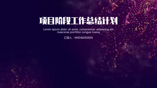 项目阶段工作总结计划PPT模板