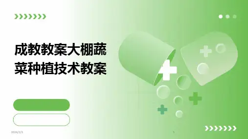 2024版年度成教教案大棚蔬菜种植技术教案
