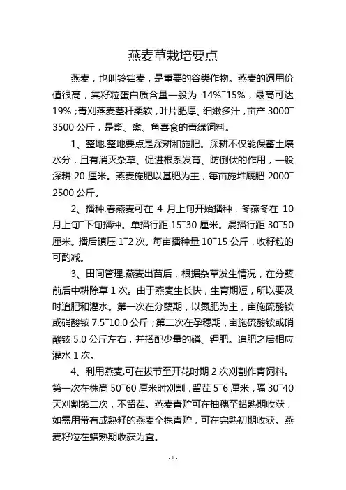燕麦草栽培要点