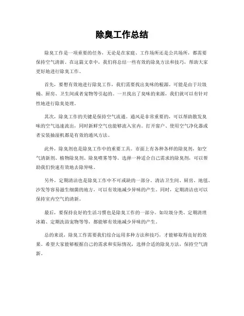 除臭工作总结