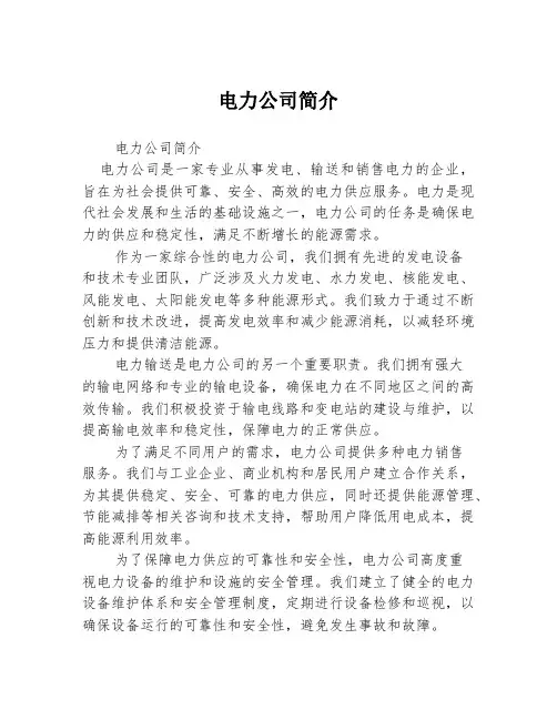 电力公司简介