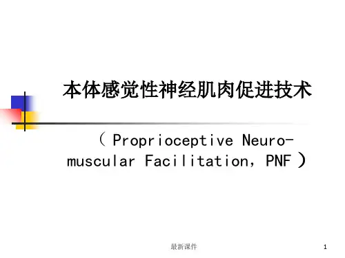 PNF技术