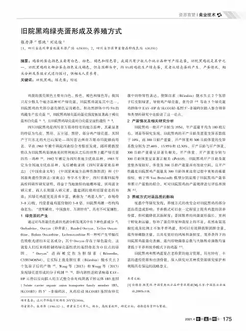 旧院黑鸡绿壳蛋形成及养殖方式