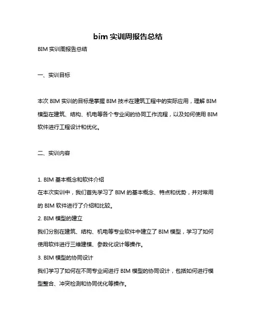 bim实训周报告总结