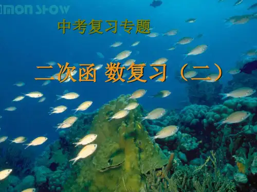 新课标人教版初中数学九年级下册第二十六章《二次函数复习(2)》精品