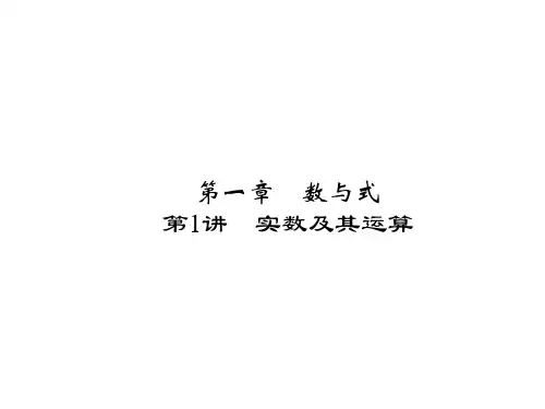 第1讲实数