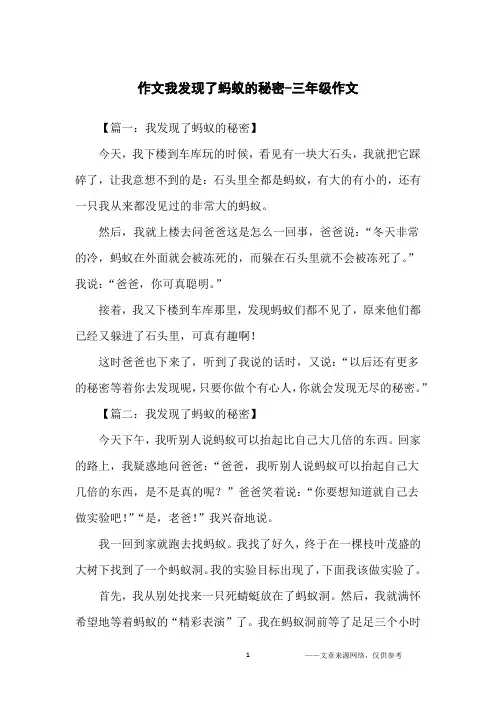 作文我发现了蚂蚁的秘密-三年级作文