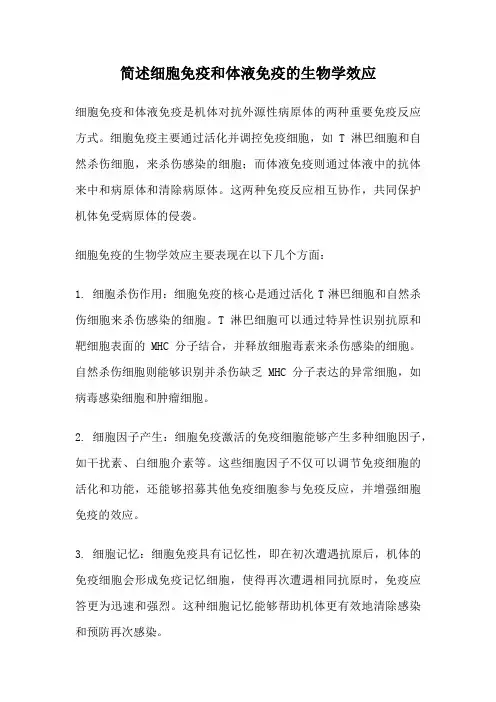 简述细胞免疫和体液免疫的生物学效应